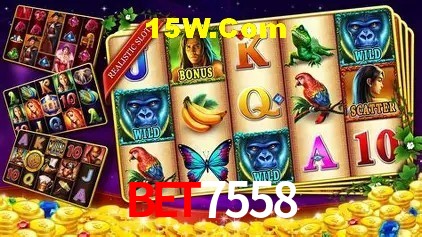 Security Systems bet7558
