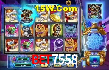 API Integration bet7558